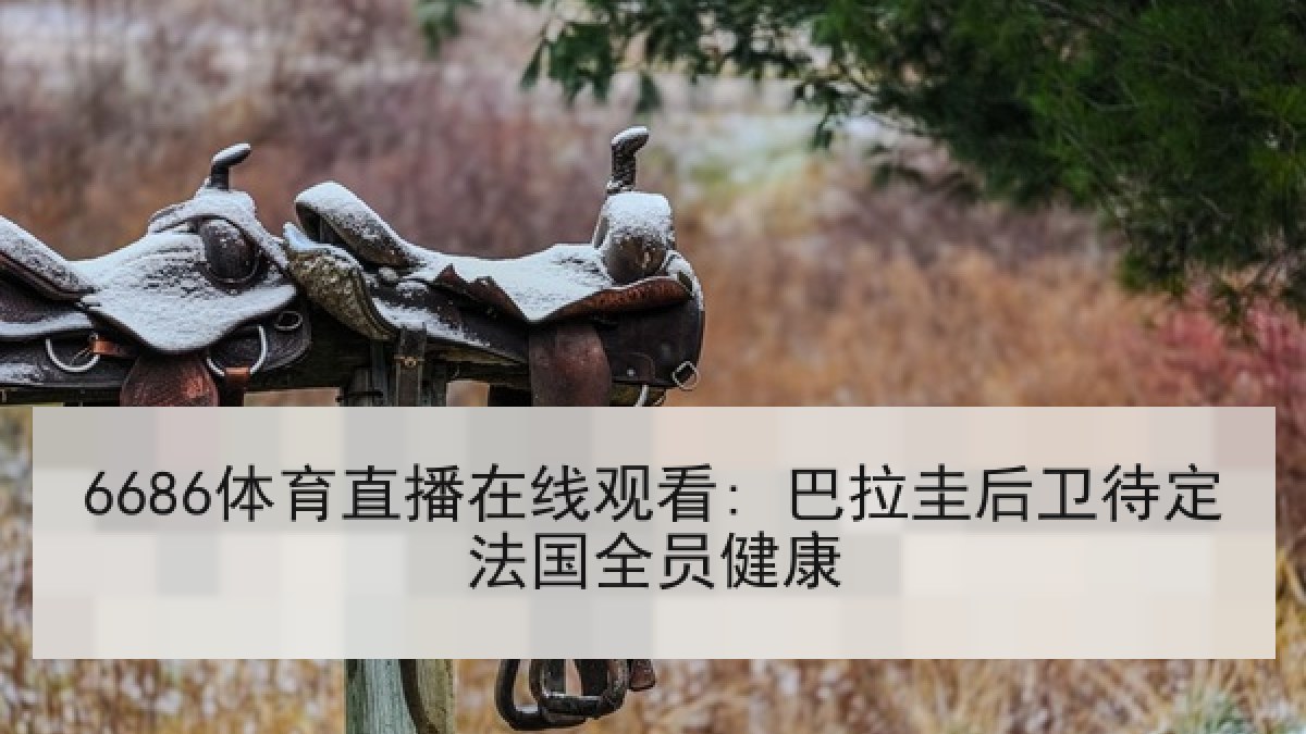 6686体育直播在线观看: 巴拉圭后卫待定法国全员健康