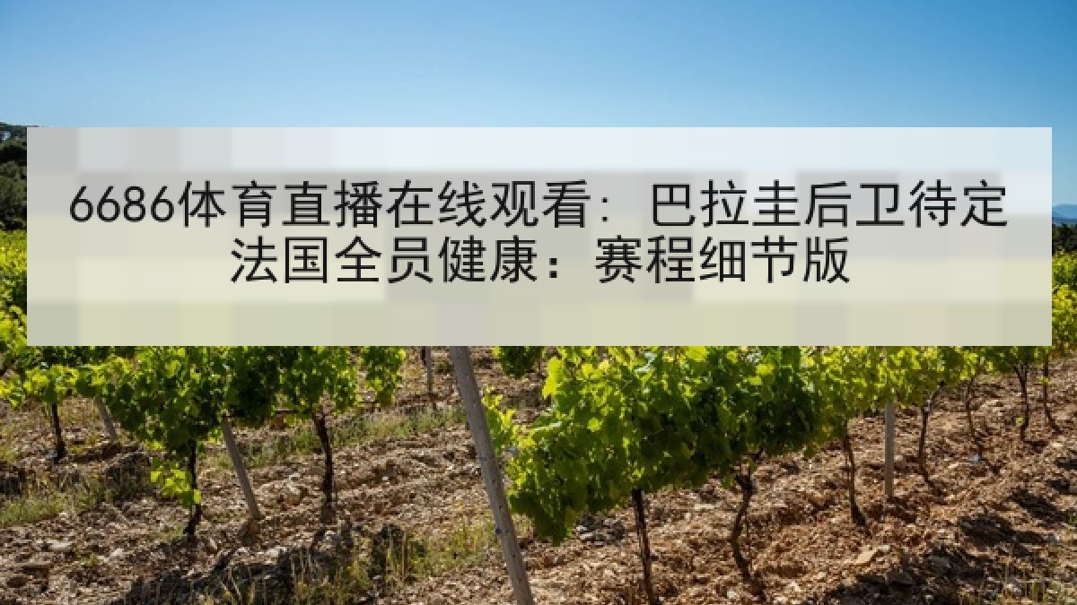 6686体育直播在线观看: 巴拉圭后卫待定法国全员健康：赛程细节版