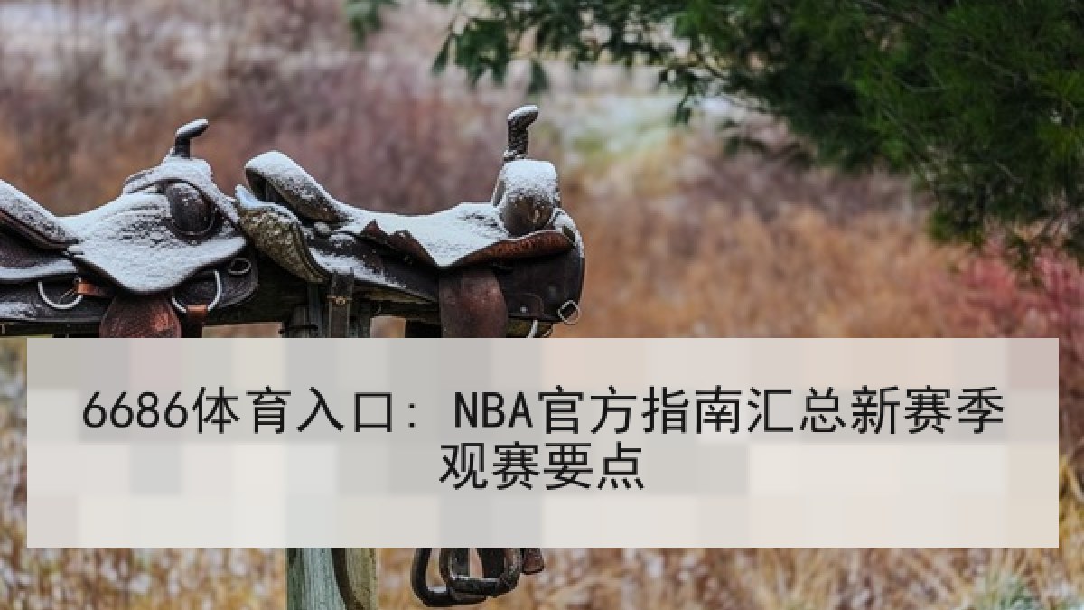 6686体育入口: NBA官方指南汇总新赛季观赛要点